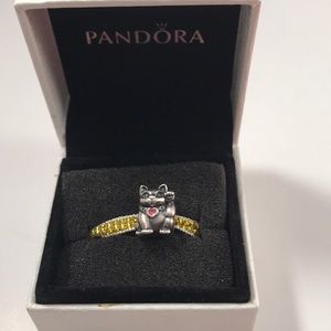 Pandora cat charm